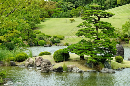 园艺日本花带湖泊和瀑布的日本花园池塘户外图片