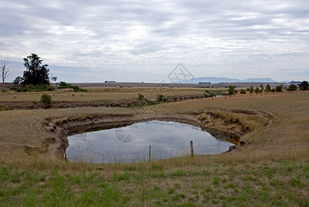 在一个枯燥多云的白天一个干燥的垫子中水坑里牧场围孤独图片