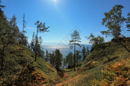 景观俄罗斯克萨州BaikalIrkutsk湖地区云层运动草极端图片