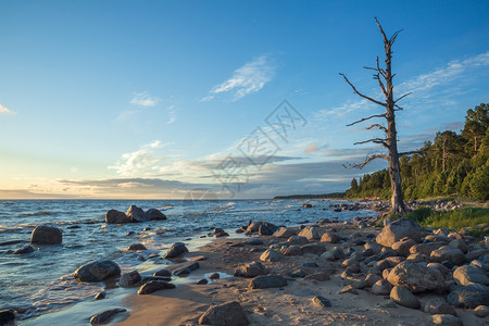 海洋水拉脱维亚的波罗海图贾市雅日落TujaSunset与岩石旅行图片