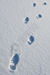 简单的印刷冷若冰霜雪地里的脚印图片