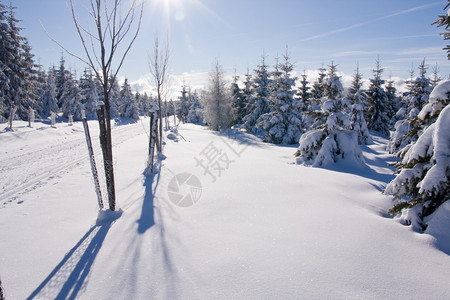 雪后美景图片