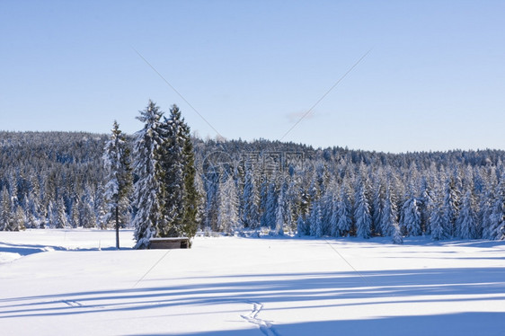 雪后美景图片