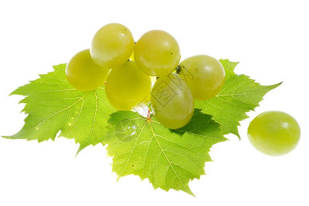 营养绿色浆果白上孤立的葡萄图片