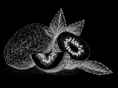 绘画植物图书水果猕猴桃手绘素描铅笔水果仿粉画整个水果切叶用于包装