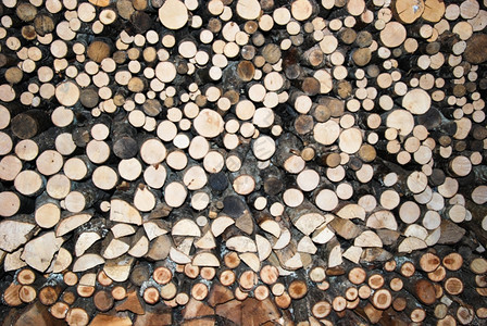 木头堆积中圆形柴的背景图象粗糙活力图片