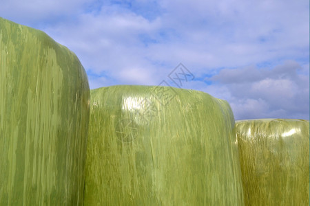 包裹荷兰Zelhem农场的塑料干草篮子自然泽勒姆图片