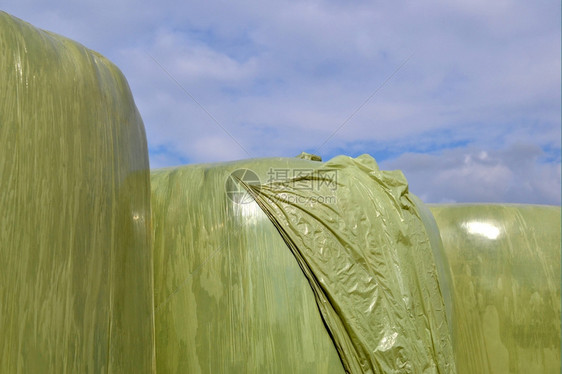 机器大包贮存荷兰Zelhem农场的塑料干草篮子图片