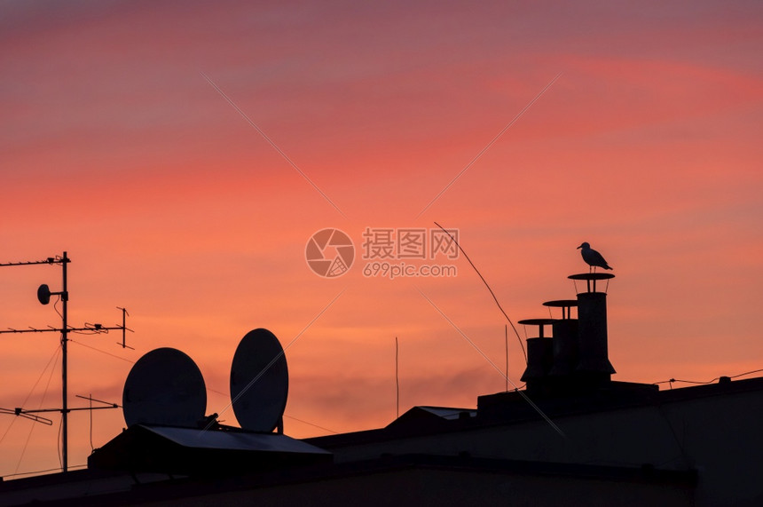日出建造美丽的城市上空红色和橙彩多的日落电视天线和屋顶通风烟囱的轮光屋顶上通风烟囱以及上笼罩的海鸥图片
