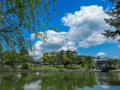 池塘与日本奈拉Kofukukuji寺五所古塔的萨拉瓦庞德亚洲人老的图片