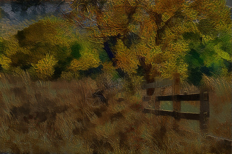 木头破碎的长黄冬季草原中旧木林农庄栅栏独特三维Illustartment乡村图片