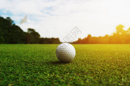 玩俱乐部有洞和阳光的绿草上高尔夫球打图片