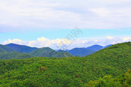 夏季美丽的风景与高加索绿山色脉叶子翠自然图片