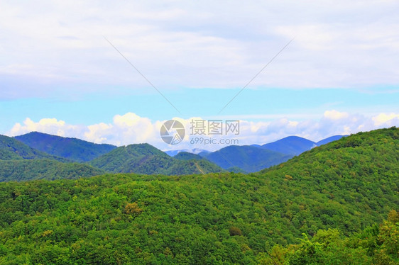 夏季美丽的风景与高加索绿山色脉叶子翠自然图片