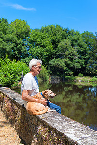 户外在法国湖边的墙上坐着长辈和有交叉种养狗的老男人景观池塘图片