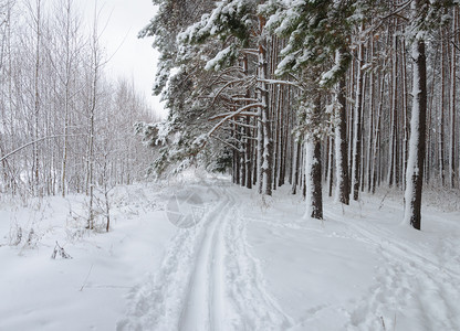 冬季雪景风光图片