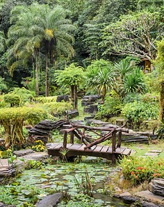 自然圆形花园在池塘上架桥花的走道图片