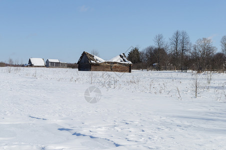 弃俄罗斯Vladimir地区一个小村落的阳光明媚白天外衣景观小屋图片