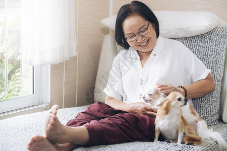 女士快乐笑的年长女人和她狗在家沙发上快乐玩图片