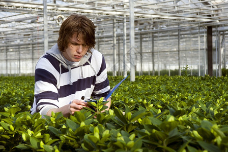 季节结构体在职的一个被植物包围的男人检查灯泡图片