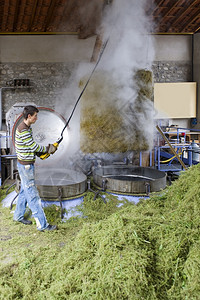 蒸汽提炼馏草药精质的生产过程新鲜草药是施压以提取香水的新鲜草药图片