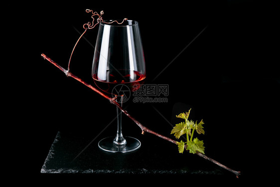 葡萄藤蔓新芽红酒杯健康图片