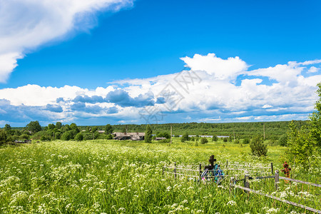 村庄一种俄罗斯Kostroma州Mihailovich村夏季美丽的农地貌图片