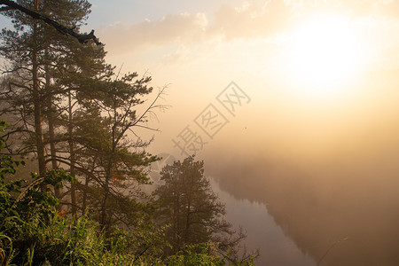 美丽的哎清晨雾在河峡谷地风景上升起图片