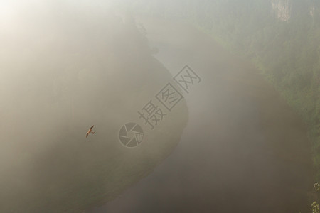 有雾清晨的在河峡谷地风景上升起自然超过图片