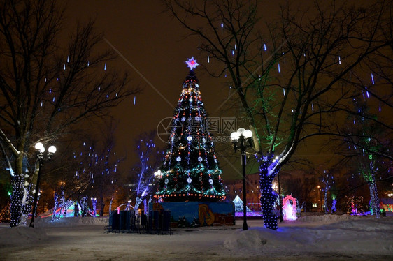 公园夜晚发光的圣诞树图片