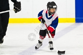 游戏辅导在冰球练习中和一只小狗滑冰生活图片