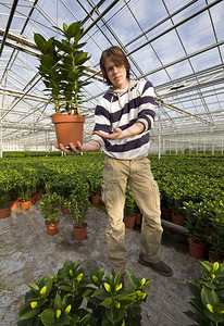农业生长灯泡一个男人站在巨大的温室里展示植物图片