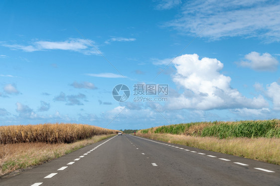 汽车沿着美丽的乡村道路开车旅行和节假日概念以及一种绿色图片