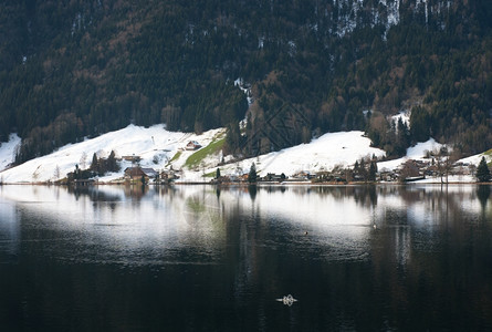 海岸线家园邻近瑞士湖边的一个小高山村位于瑞士自然图片