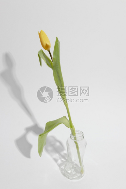 安全的开花瓶table9建筑物丰富多彩的图片