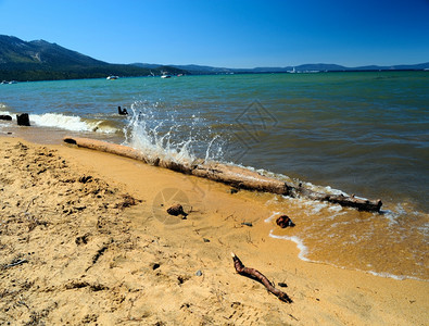 风景优美棕色的海浪在加利福尼亚一侧Tahoe湖边Tahoe岸边的Tahoe湖水夏季日一小股浪撞向了冲水原木并随浅滩沙向上喷洒清水图片