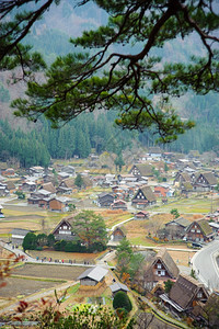 外部的冬天白川戈Ogimachi村白川乡图片