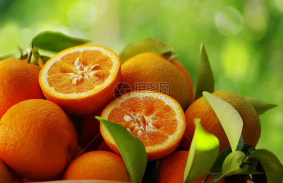 圆圈水果热带绿色背景的新鲜橙子图片