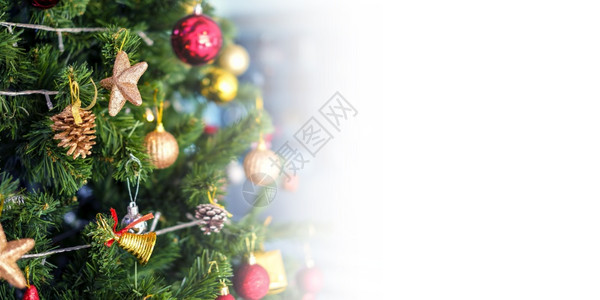 丰富多彩的圣诞树图片