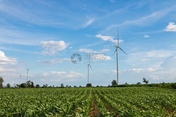 可持续的在美丽自然景观中的风涡轮农场发电机用于生产可再绿色能源是环境友好型工业环境与气候为了磨图片