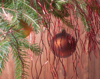 圣诞球在树枝上圣诞球挂在蛇纹的一根树枝上蛇纹石枞条图片