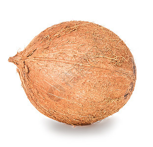 在白色背景上孤立的椰子美食外壳可图片