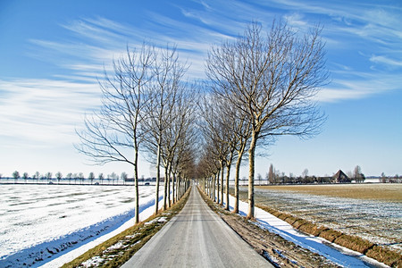 荷兰农村的冬季风景从荷兰开始十二月安详户外图片