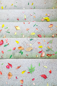 在混凝土楼梯的秋叶作为背景天九月叶子图片