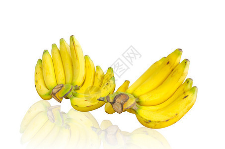 团体白色背景的两根香蕉梳热带子图片
