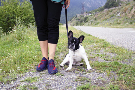 可爱的法语黑白国牛头犬在和主人散步时带着笑脸在皮上狗爱人的概念活生方式有趣的动物小狗图片