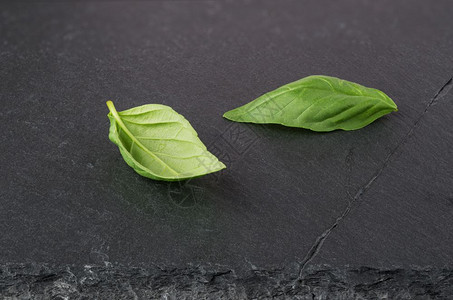 香料黑石板上的两块新鲜绿色树叶有机植物图片