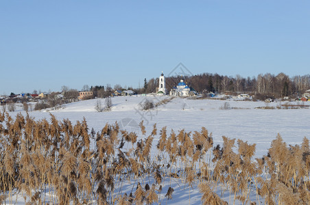 旅游俄罗斯地区寒冷的河带干Reed和远处的小村庄图片