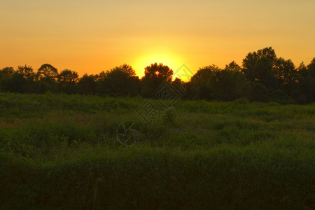 景观明亮的自然日落时青草地貌图片