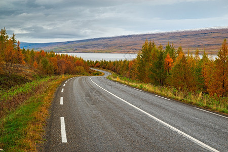 秋季森林里的公路图片